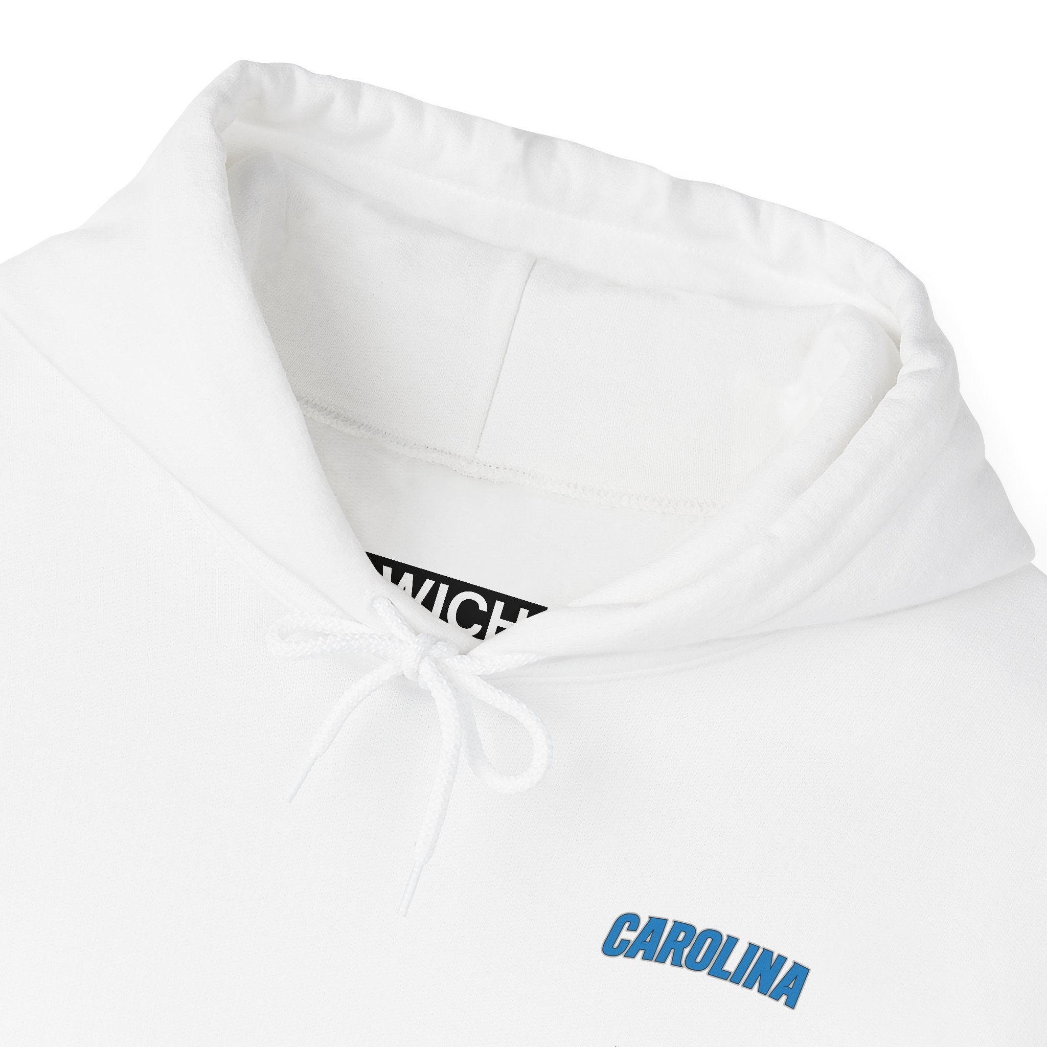 CAROLINA FOOTBALL STADIUM HOODIE