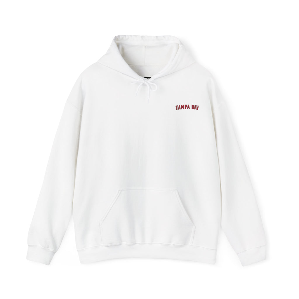 TAMPA BAY FOOTBALL STADIUM HOODIE