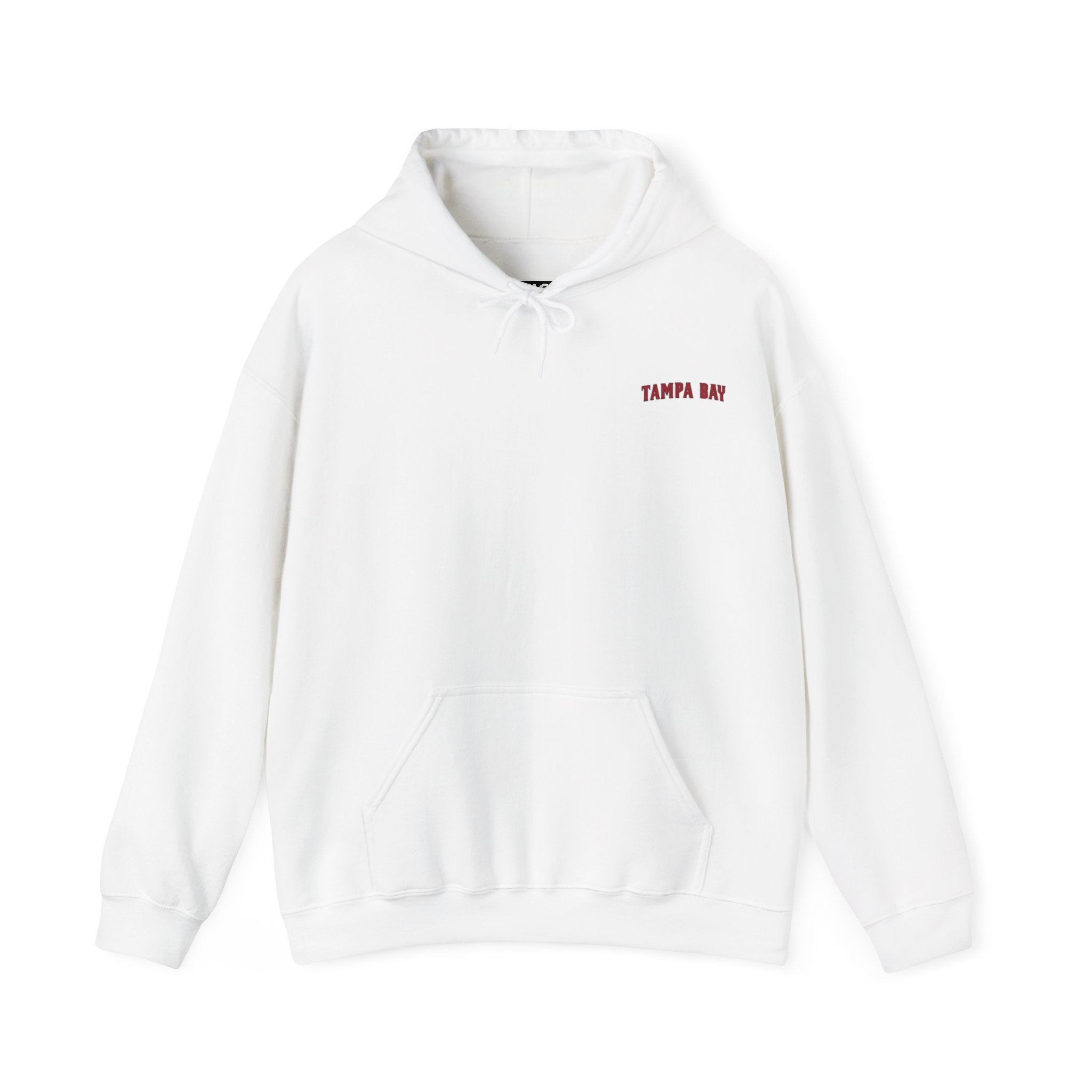 TAMPA BAY FOOTBALL STADIUM HOODIE