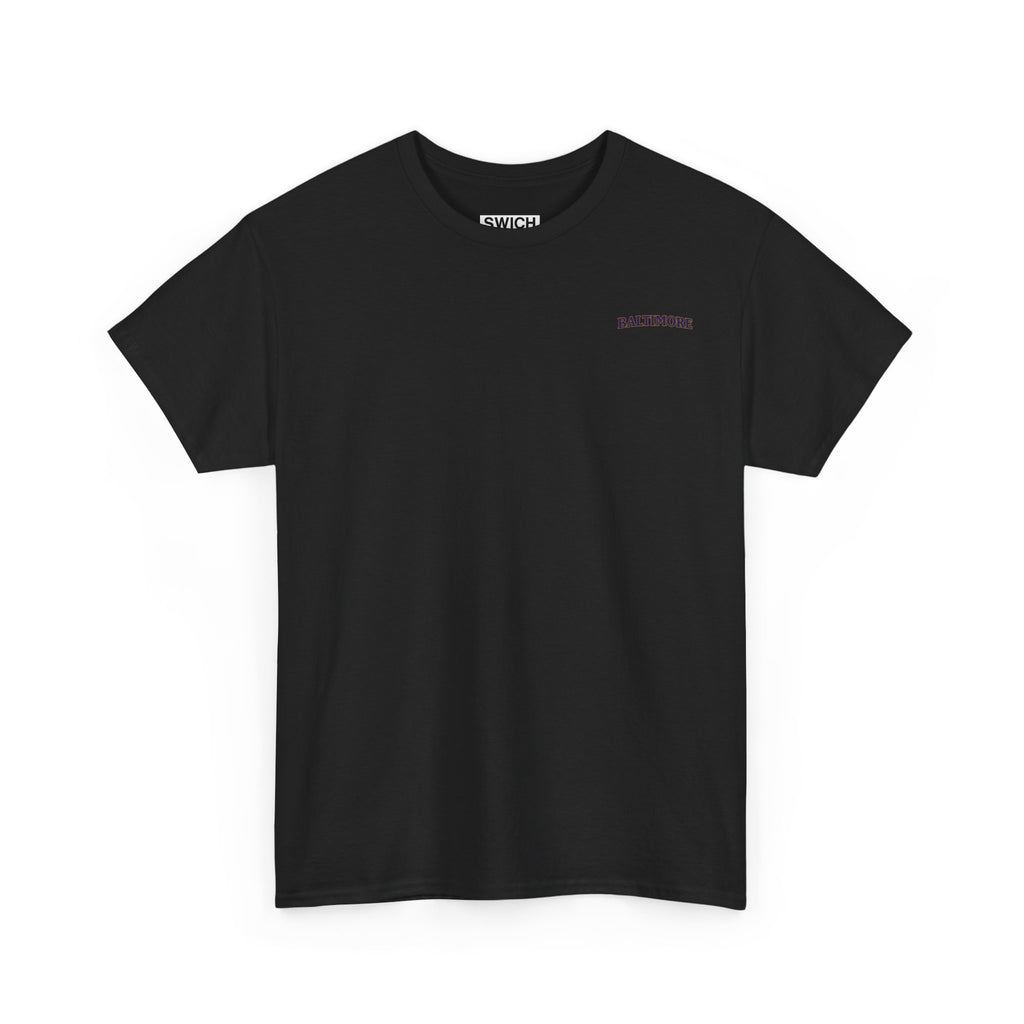 BALTIMORE FOOTBALL STADIUM T-SHIRT