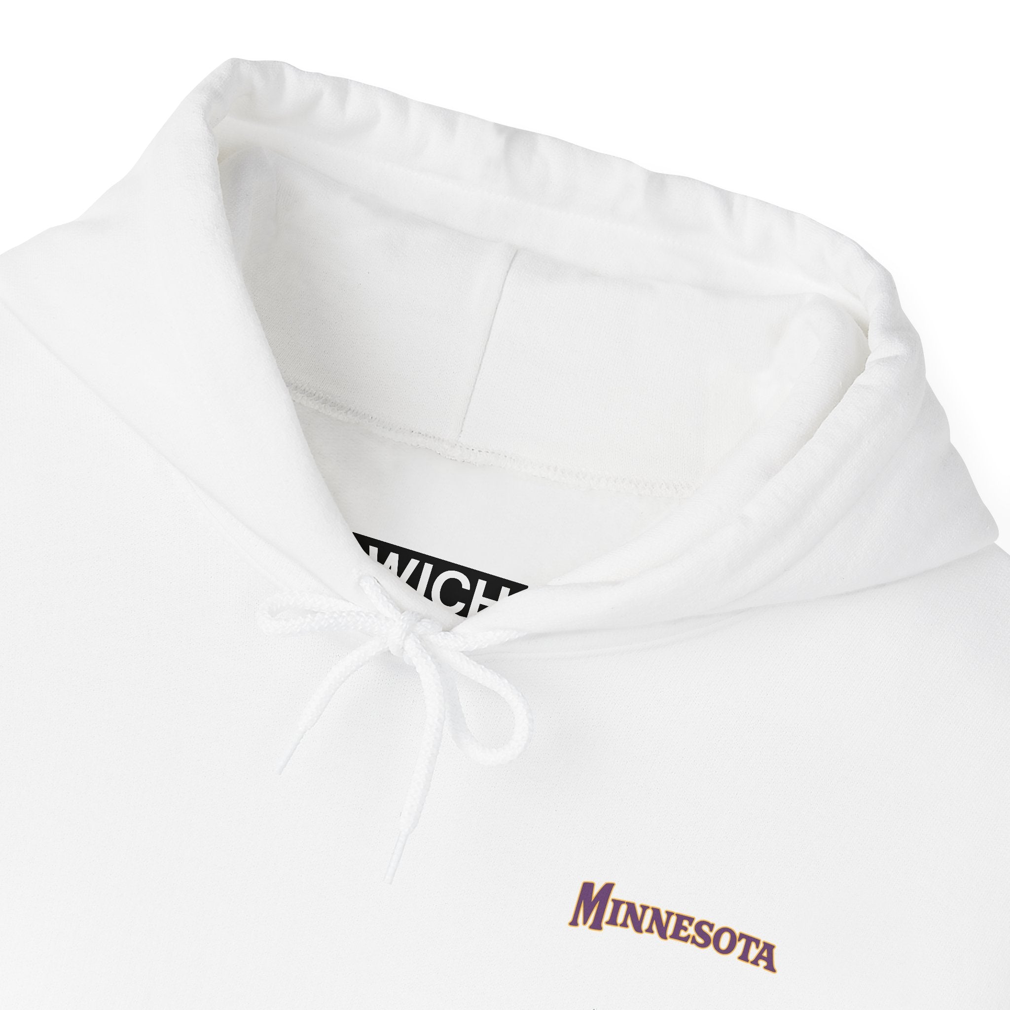 MINNESOTA FOOTBALL STADIUM HOODIE