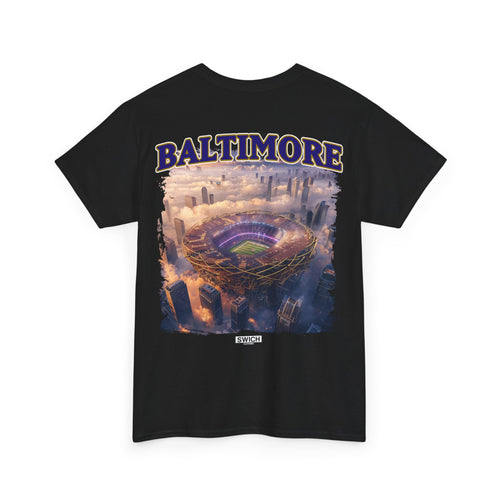 BALTIMORE FOOTBALL STADIUM T-SHIRT