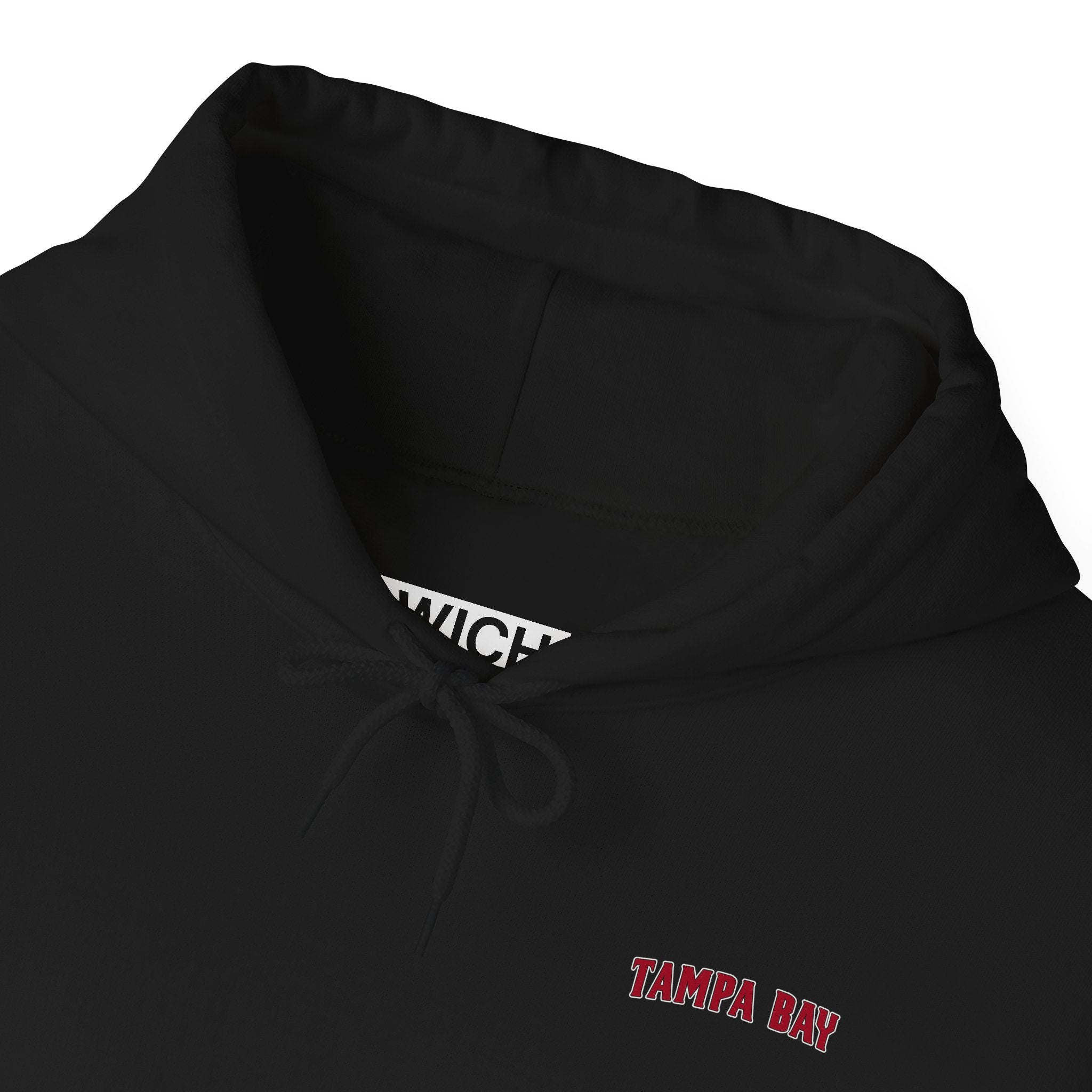 TAMPA BAY FOOTBALL STADIUM HOODIE