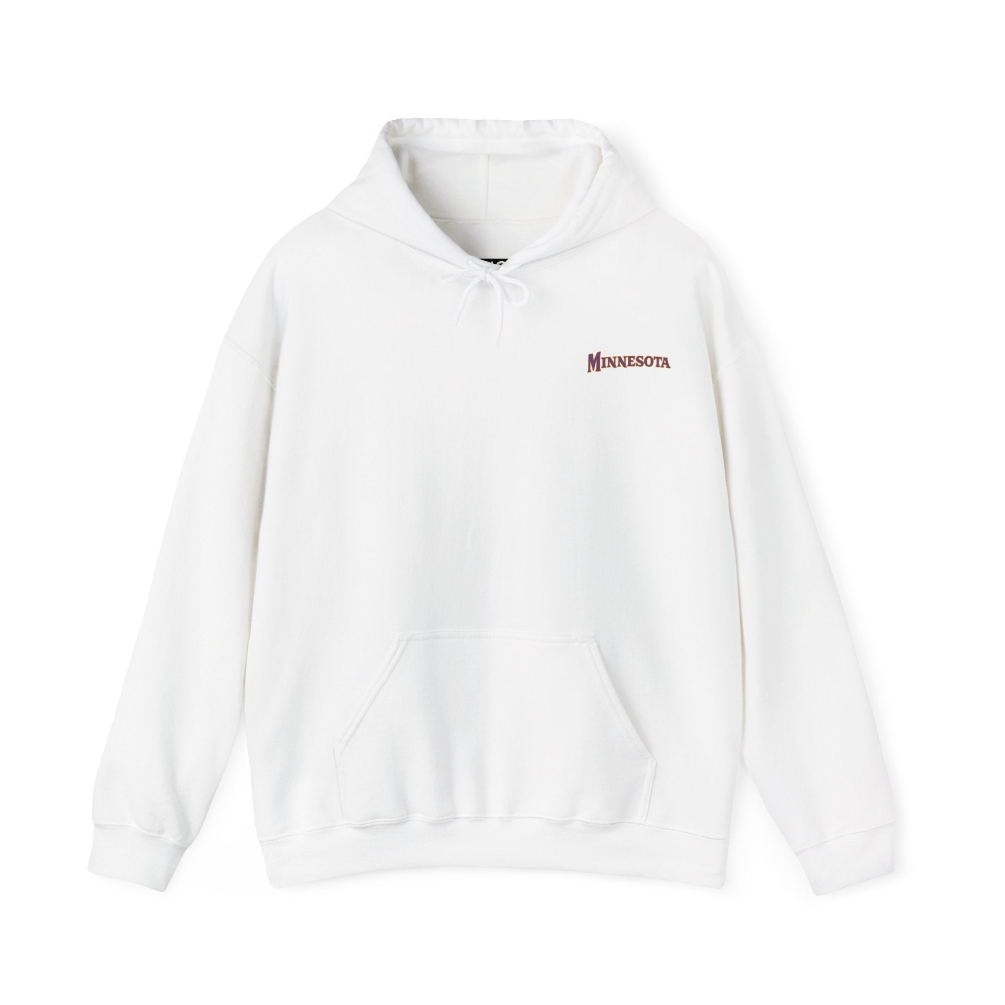 MINNESOTA FOOTBALL STADIUM HOODIE
