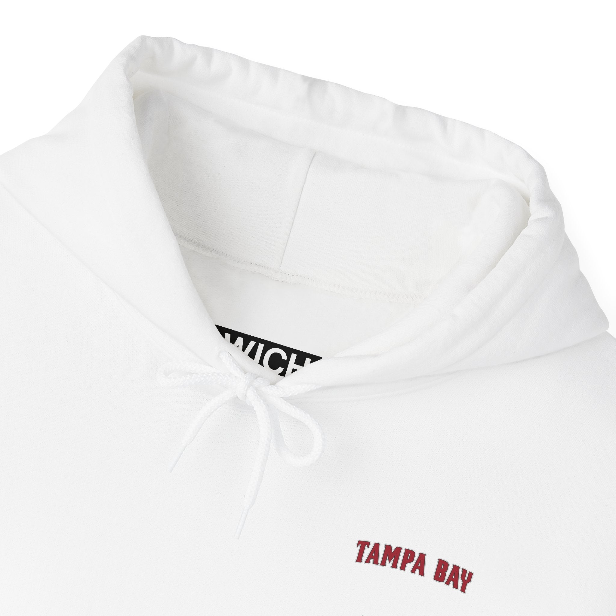 TAMPA BAY FOOTBALL STADIUM HOODIE